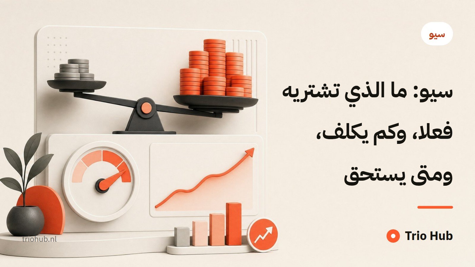سيو: ما الذي تشتريه فعلاً، وكم يكلّف، ومتى يستحقّ